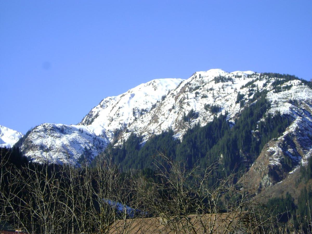Ferienwohnung Fred Hollersbach im Pinzgau Exteriér fotografie